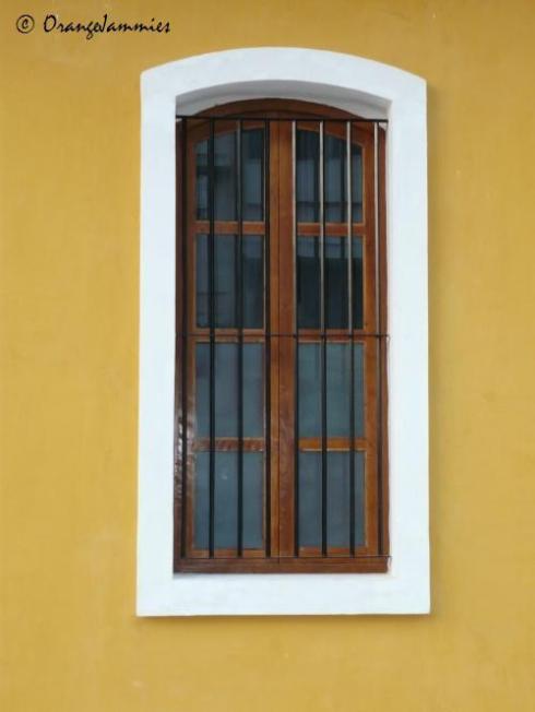 mango window_cp